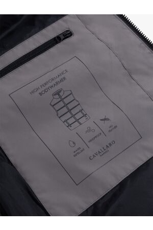 Cavallaro Cesario Bodywarmer 960000 Faded grey