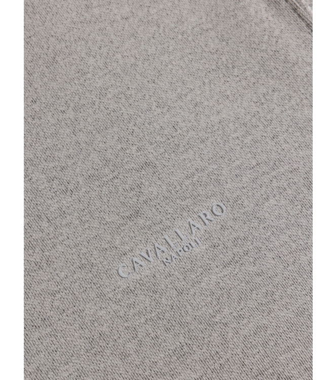 Cavallaro Marcio Half Zip Sweat 189000 Dark kit