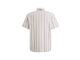 Vanguard Short Sleeve Shirt YD Dobby stripe 7003 Bright white