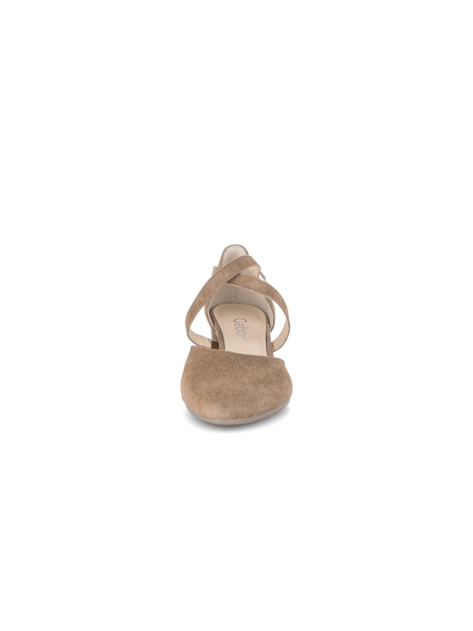 Gabor Samtchevreau 14 peanut