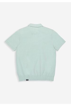 Butcher of Blue Clifden Co Polo SS 118 inari green