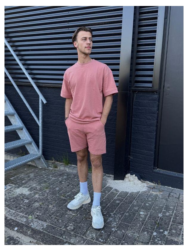 Aeden Jimmy Shorts Ash Rose-504
