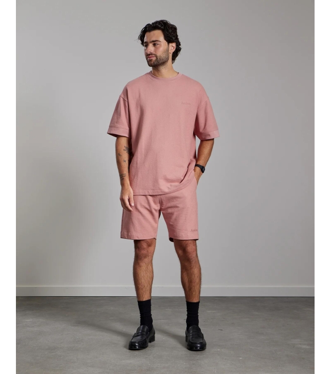 Aeden Jordan Tee Ash Rose-504