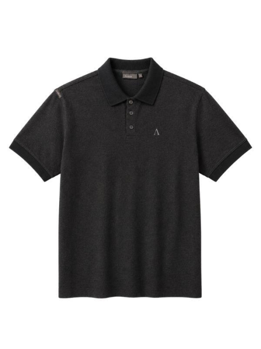 Aeden Guz Polo Ganache-206