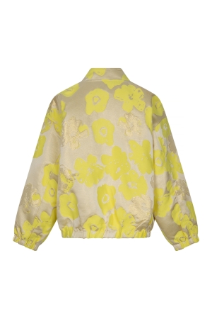 Studio Amaya 262-ST4 700 yellow