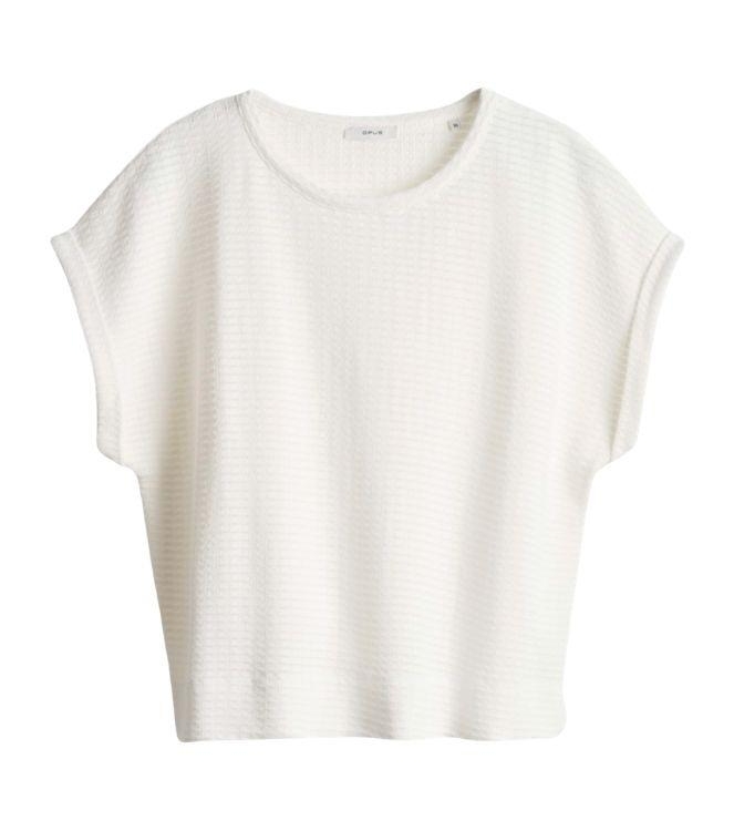 Opus Sishell 1004 Milk