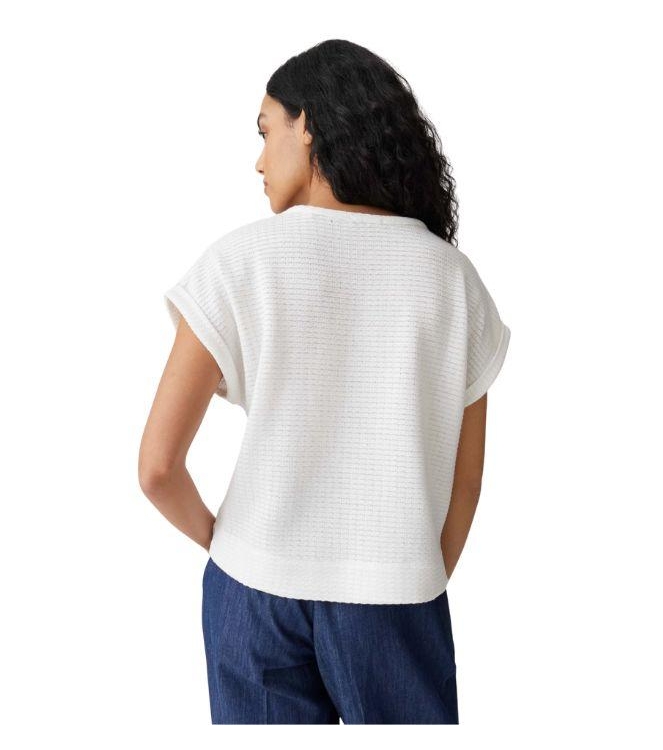 Opus Sishell 1004 Milk