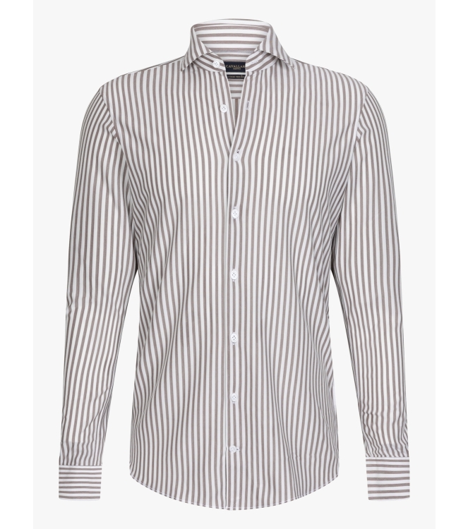 Cavallaro Compacto 898102 Dark Brown/white