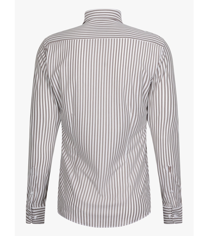 Cavallaro Compacto 898102 Dark Brown/white