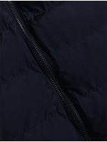 Cavallaro Quintino Jacket 699000 Dark blue
