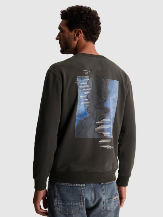 Cast Iron Crewneck relaxed fit graphic 9167 Clever crows