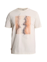 Cast Iron Short sleeve r-neck regular fit pe 7555 White down