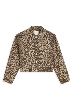 Josh V NADINE bomber jacket with leopard print 604 leopard brown
