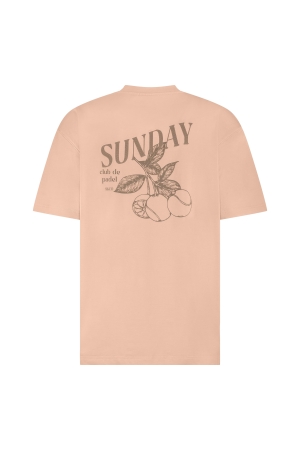 Supply en Co Cooper T-shirt With Backprint 8003 Light orange