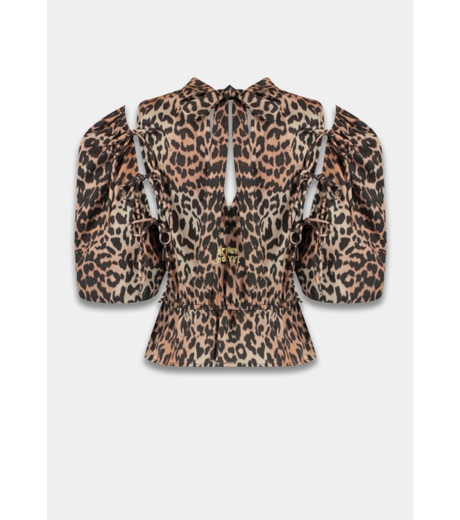 Harper and Yve JACEY-SS 1101 lexie leopard