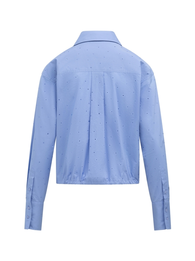 Label Dot Aroa 628 blauw licht