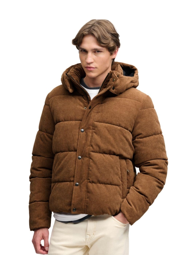 Superdry PREMIUM HOOD CORD PUFFER JKT 1LB Dark Tobacco Brown