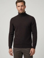 Cavallaro Merino Roll Neck Pullover 898000 Dark brown