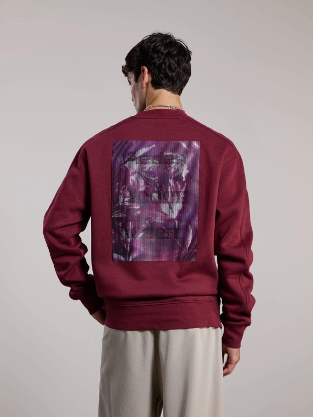 Aeden Milon sweater 610 Bordeaux