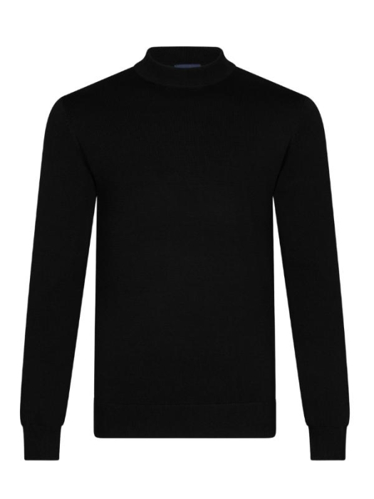 Cavallaro Milacio Turtle Neck Pullover 999000 Black