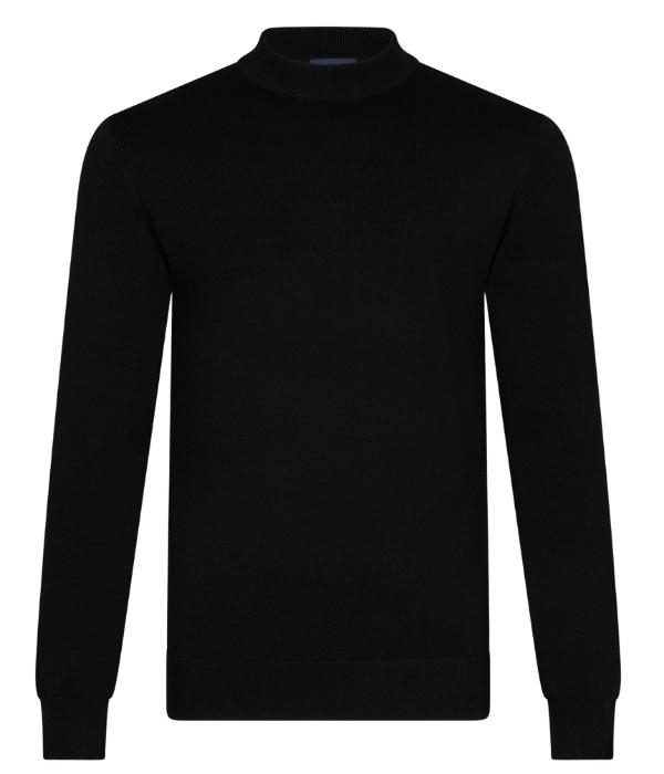 Cavallaro Milacio Turtle Neck Pullover 999000 Black