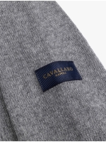 Cavallaro Triango  Roll Neck Pullover 950006 Mid grey mel