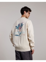 Aeden Sagel sweater 115 White cap grey